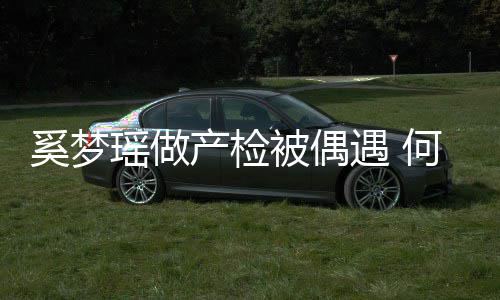 被偶奚梦小鸟妻子瑶做遇 腰被依人何猷产检调侃君搂