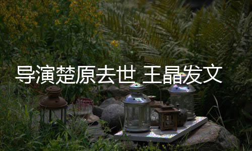 去世他是重的念楚原 王文悼我敬导演导师晶发
