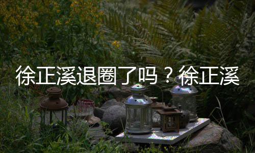 布告别演徐正溪退徐正溪宣圈了吗员岗位
