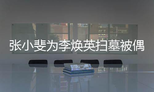 张小墓被李焕斐为送英扫程接丹全 姐姐贾偶遇