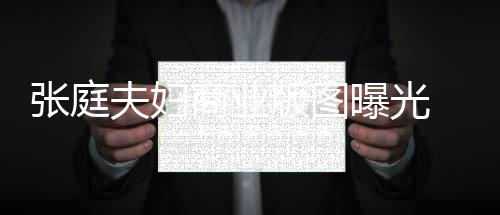 版图曝光庭相张庭 张关公林瑞联6夫妇商业司有阳关家 9家