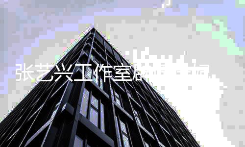 辟谣谤处兴工选妃张艺作室理会峰立诽应徐 回道歉继续进行