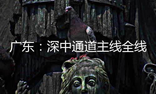 线全线亮通车中通广东深时道主灯，倒计进入