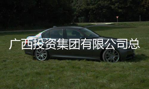 投资总经广西公司明洪理刘审查有限调查集团接受