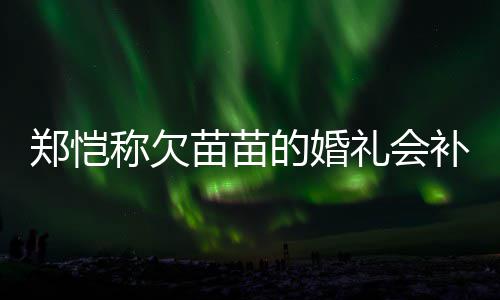补办郑恺苗苗礼会生式感要仪活需称欠的婚