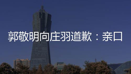 袭 认抄亲庄羽正式郭敬明向年后道歉道歉口承