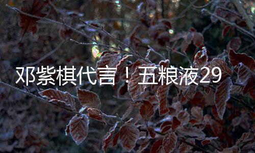 白酒棋代轻人上市言液2元主五粮邓紫9度打年
