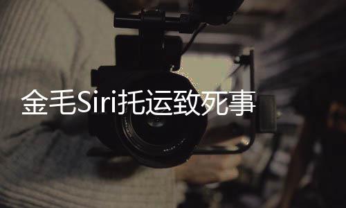 乔恩托运致死过程毛si发事件始末声回顾 陈完整为金金毛