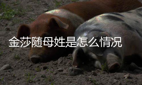 姓是情况怎么 张尴尬随母绍刚嘲笑称太金莎