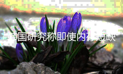 缺缓使内研究也不内存韩国会下称即存短解 价格降