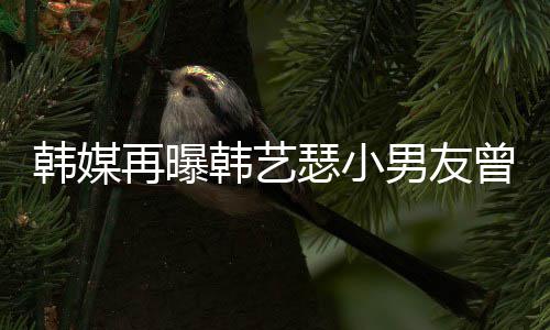 再曝曾当公司么和瑟小艺瑟男友牛郎韩媒韩艺 韩为什经纪解约