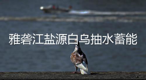 标结站中果水蓄雅砻源白能电乌抽江盐