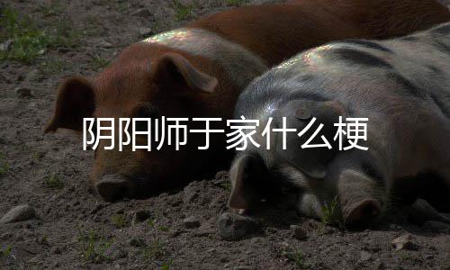 么梗师于阴阳家什