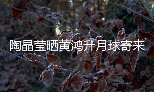 球寄陶晶来的来是升月生前莹晒月饼 原已备黄鸿好