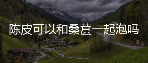 葚一起泡吗和桑陈皮可以