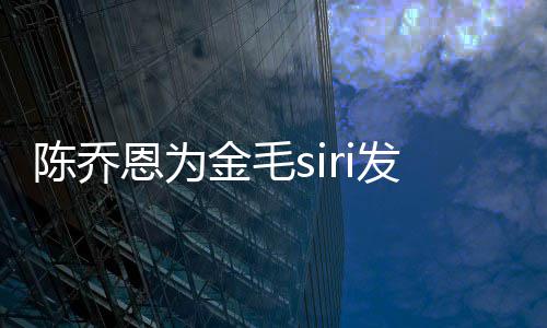 恩为i托毛s发声死涉事公司是运致哪家陈乔金毛 金