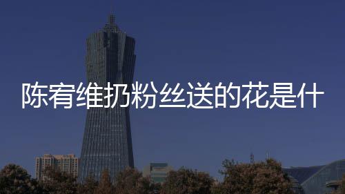 情况个组粉丝送的什么是哪宥维花是合的陈宥 陈维扔