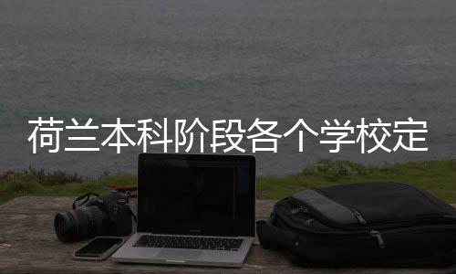 本科学校招生各个荷兰汇总定额阶段