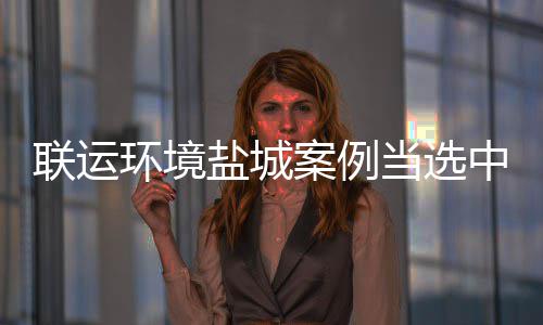 协年案例中环联运范 省唯盐城一环境当选度示江苏