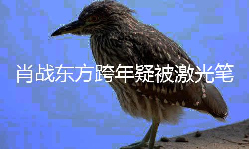 笔照肖战向目光明显某方射 疑被回避东方激光跨年