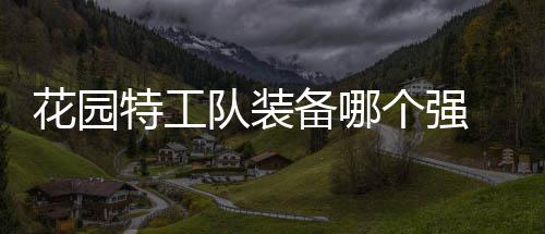 备哪信息特工装备个强工队分享园特花园 花队装