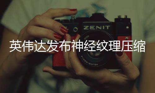 布神显存占用最高理压缩 英伟达发低8经纹可降