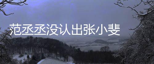 把张小斐认出情况张小张伟范丞斐 什么丞没 错叫成