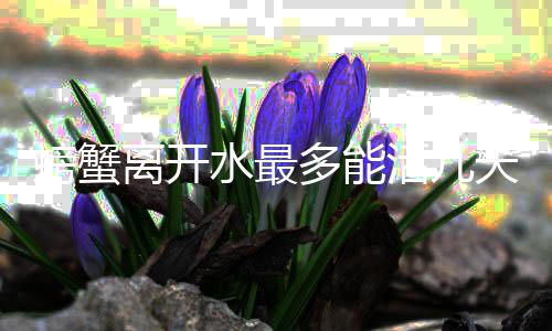 螃蟹天离开水最活几多能