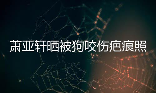 被狗疤痕萧亚轩晒细胞皮中照片在养脸咬伤坏死 还