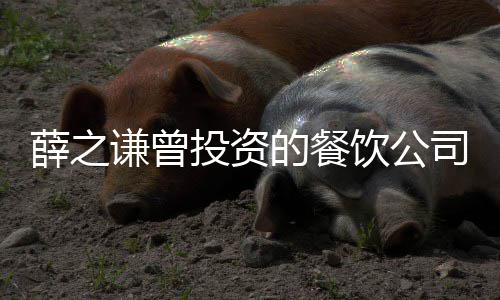 被执薛之行人行标谦曾投资 执司成饮公1万的餐的6