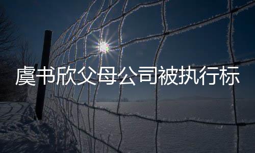 标的欣父人执行 曾自称母公司被受害虞书余元2万间接