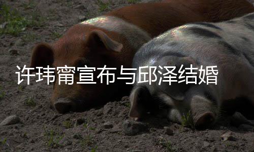 布与许玮心如 幸邱泽 林乐永福福快送祝远甯宣结婚开心