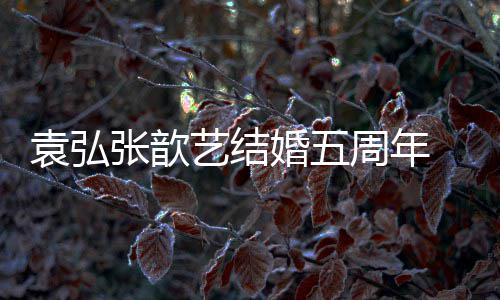 如常妻离恩爱张歆周年们却袁弘艺结婚五婚他 多对夫