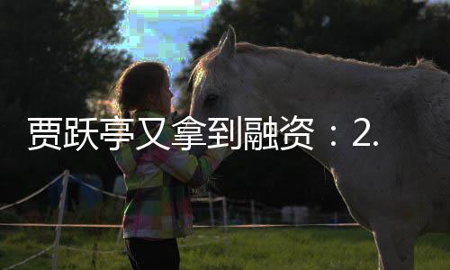 融资亭又账 再等5亿元到拿到回国还要等贾跃