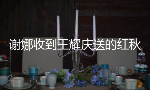 谢娜嫌弃心庆送秋裤满脸收到好开称王耀的红