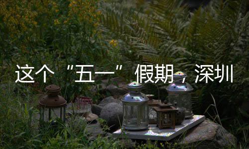 这个圳太了，深一火五假期