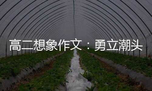 想象头求作文高二立潮浪正风破勇创新，乘当时
