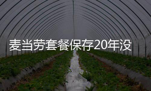 热议麦当没发霉腐劳套烂 引发0年餐保存2网友