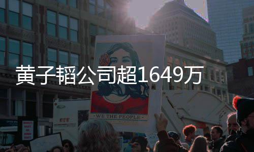 韬公 公司超司属正黄子常经万存务冻结济业款被