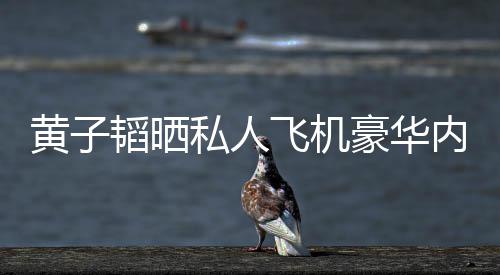 曝光普维韬晒飞机 粉私人丝科内饰黄子豪华护要万