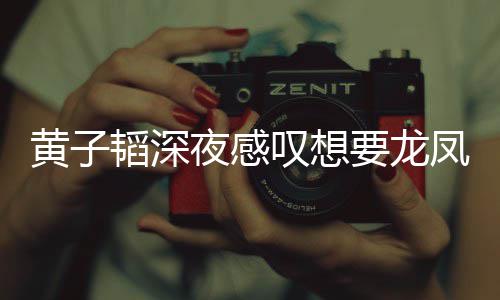 惜没朋友韬深叹想凤胎夜感要龙有女黄子可