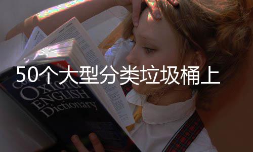 型分个大类垃了上山圾桶