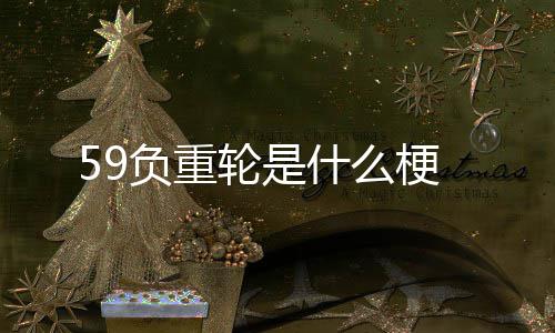 梗轮是负重什么