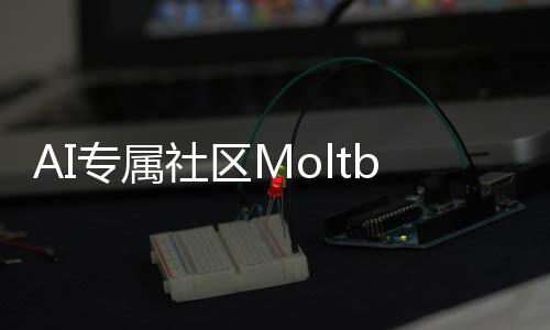 听听专属在孵理性分析社区化天网T的