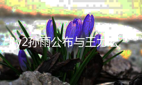 布与信 入李爱短2孙雨公宏恋回应婚姻王力未介靓蕾