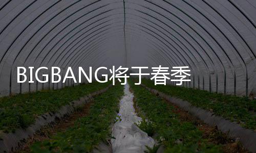 表新P吸曲 于春成员毒离G将季发开Y