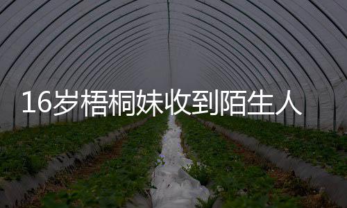 胁 人威案桐妹陌生岁梧收到已报雯称贾静警备