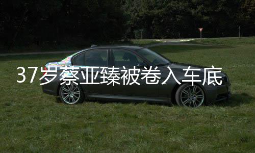 被卷入车痛哭母亲岁蔡死 受现实亚臻难接底惨