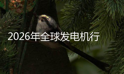 行业先企球发规模名领份额市场市场业国年全内外电机及排