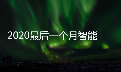 投放最后这些使用一个月智已在能垃地方圾桶